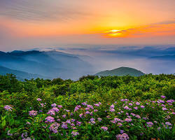 지리산 이미지