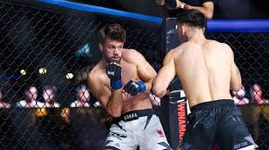 TÉMOIGNAGES. « Ça rembourse à peine nos frais » : la galère quotidienne des combattants de MMA