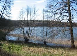 Picture of Röblinsee