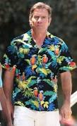 Résultat de recherche d'images pour "burn notice images hawaiian shirts"
