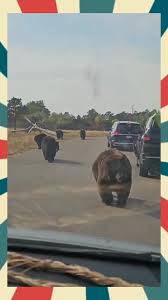 Bạn biết đây là "giai đoạn" đẹp nhất trong năm?