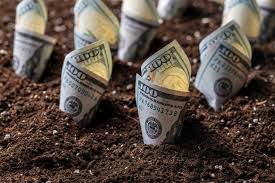 I Am Planting The Seeds For My Retirement Dividend Tree: Yields Up To 10.5%