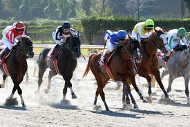 東スポ競馬 - News update