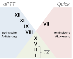 https://encrypted-tbn1.gstatic.com/images?q=tbn:ANd9GcR_qkgaFyehpSeWULox0z0r_0jUii9RqXp-9mJDhQ9lcyb-pnnG