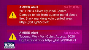 FOX 13 Seattle - News update