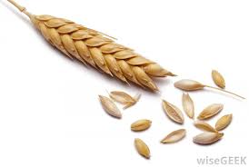 Image result for grain