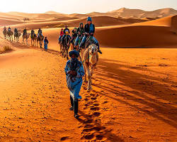 الصحراء الكبرى في الشتاء