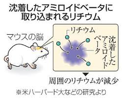 新潟日報デジタルプラス - News update