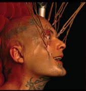 That means challenging performance art from our old pal Ron Athey, along with Julie Tolentino, Franko B and Juliana Snapper. - athey