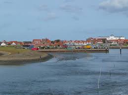 Image result for frisian people