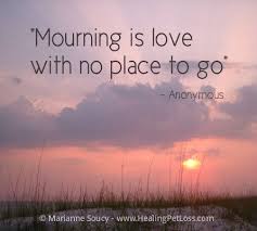 Inspiration life love pet heaven earth grief love tears healing ... via Relatably.com