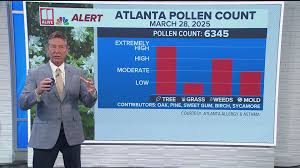 Atlanta Pollen Count Explodes Past 6,000 Triggering 'Pollen Tsunami'