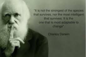 Why I am a Darwinist – by Mary Catherine Watson Believe it or not I used to be a die-hard six-day creationist. I had read all the books, collected articles, ... - 426336_320949777951997_100001109329750_972009_531836597_n-300x200