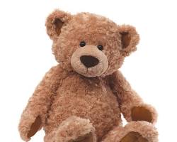 Image of Gund teddy bear