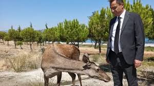 Lider Haber - News update