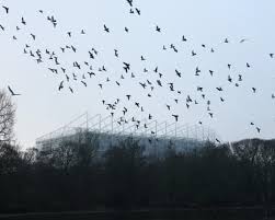 News source: The Guardian