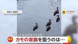 FNNプライムオンライン - News update