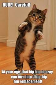 Image result for funny birthday