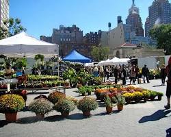 Image of Union Square Greenmarket in New York City