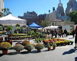 Image of Union Square Greenmarket in New York City