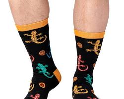 gecko socksの画像