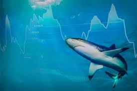 Investing.com Việt Nam - News update