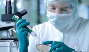 Image result for scientist working in the lab