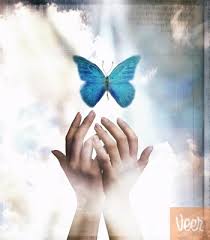 Image result for hands butterfly