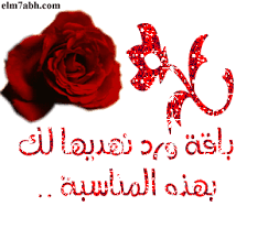 ���� ���� ������ �� ���� ������