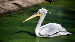 Alle Artikel in „Wissen“ vom 12.12.2025