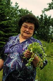 Bildergebnis für ALUTIIQ PEOPLE