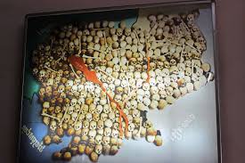 Image result for cambodia history killing fields