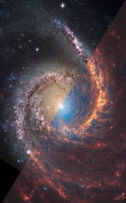 NGC 1566: Una galaxia espiral desde Webb y Hubble |