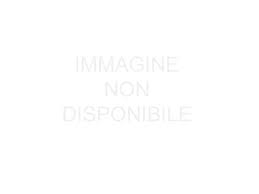 Reggio 2000 - News update