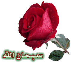 نبتة snapdragons Images?q=tbn:ANd9GcRbJepnYvjT94V54-0YqBPlaJiRTaNGWZFg0h0wTInF5QydjWdt