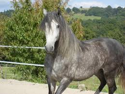 R&eacute;sultat de recherche d'images pour 