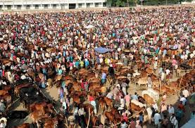 Image result for হাট বাজার নীতিমালা