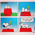 2 parrots singing and talking snoopy slippers