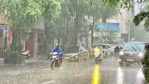 Báo Pháp Luật TP. Hồ Chí Minh - News update