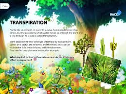 Image result for organisms and their environment