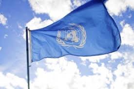 Image result for Vice Chancellor of University of Ghana appointed member of UN University Governing Council