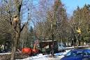 Arboristid teevad pargipuude hoolduslikust - Eesti Elu