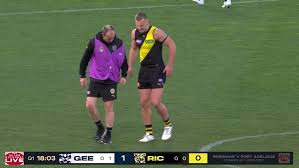 afl.com.au - News update