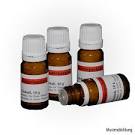 Nosode Genital Herpes Research