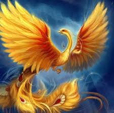 Resultado de imagem para passaro fenix