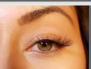 The Lash Bar - Permanent Eyelash Extensions