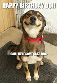 Image result for funny birthday