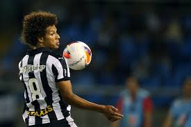 Campeão com o Flamengo, Willian Arão fechou acordo com o Botafogo
