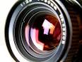 Lens Pet (bichinho para c mera) on Pinterest Feltro