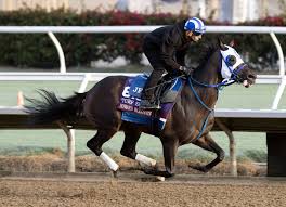 DRF